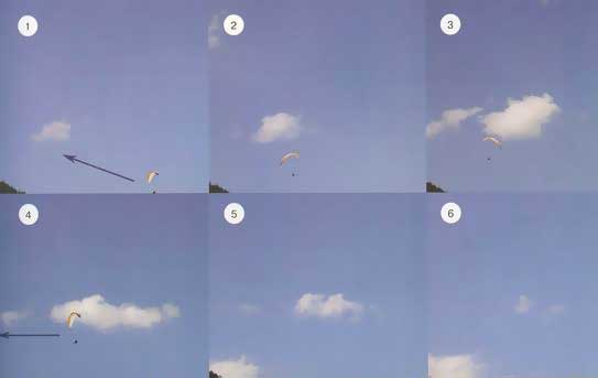 жизненный цикл